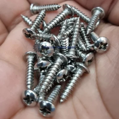 Ss Self Tapping Screw pack of 1000 pieces